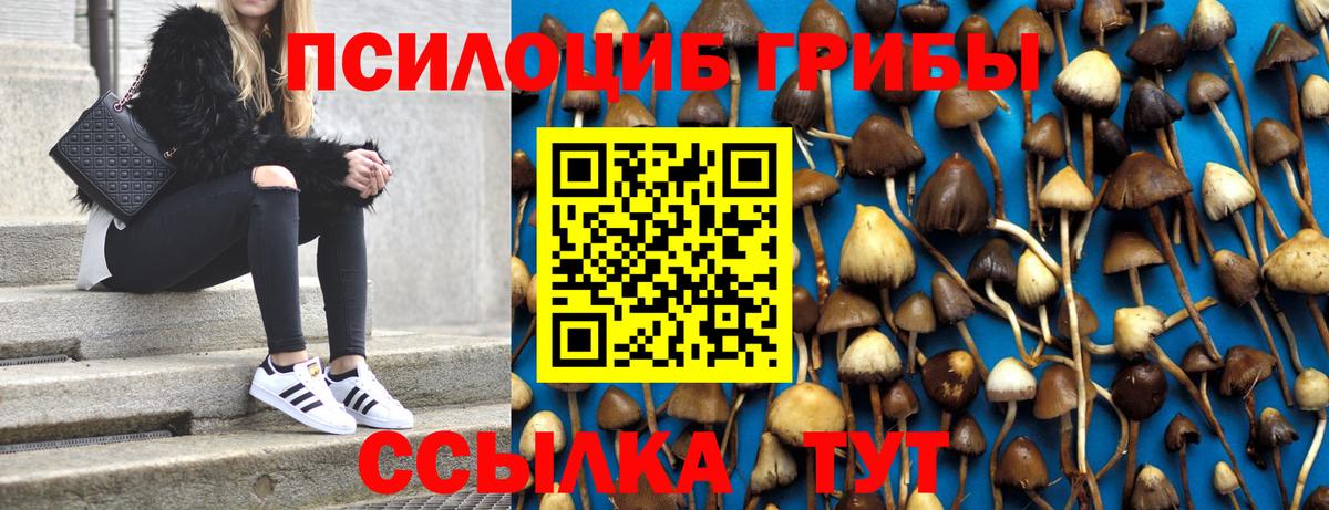 Псилоцибиновые грибы MAGIC MUSHROOMS  Вход с VPN  Ялуторовск 